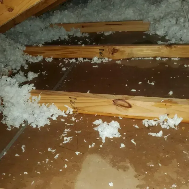 Attic Water Damage in Saint Maries, ID