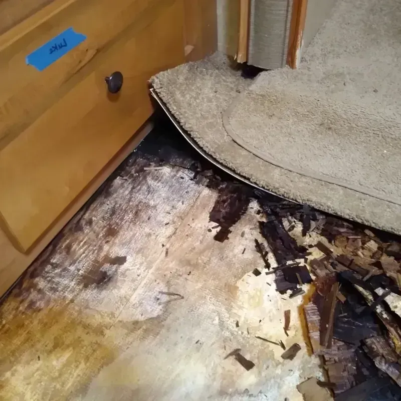 Wood Floor Water Damage in Saint Maries, ID